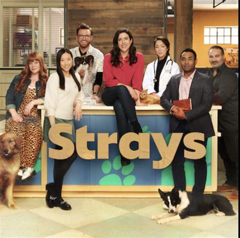 imdb strays|strays movie 2021.
